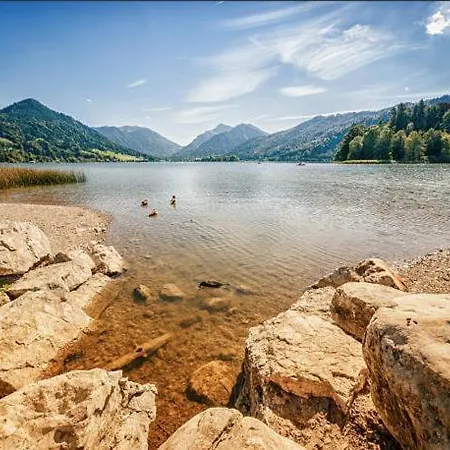 Seelenbaumlerin Schliersee