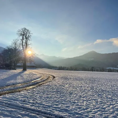 Homestay Seelenbaumlerin