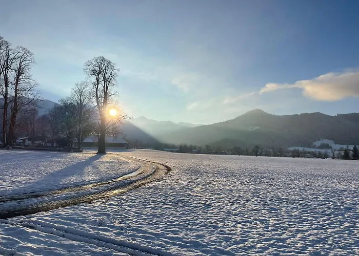 Accommodatie bij particulieren Seelenbaumlerin