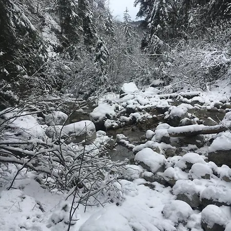 Seelenbaumlerin Privatunterkunft