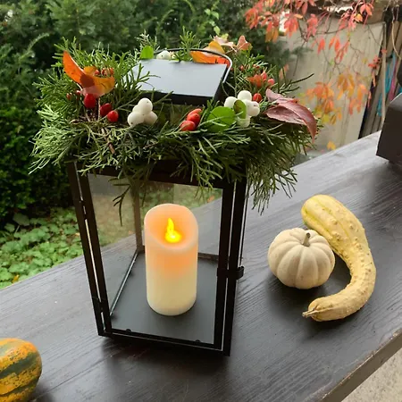 Privatunterkunft Seelenbaumlerin *